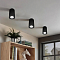 Светильник LOFT IT 10220 Black 4000K